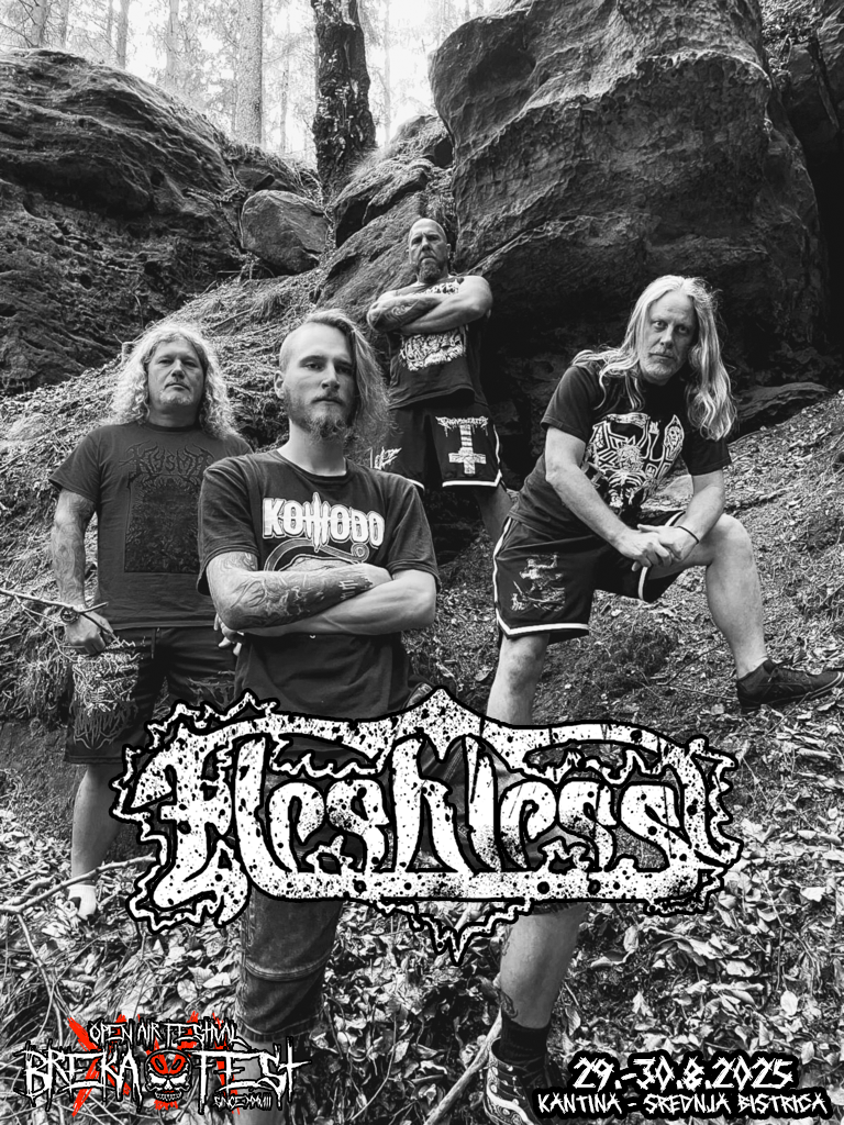 Fleshless